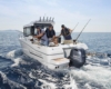 Merry_Fisher_695_Marlin_10