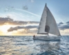 Sun-Odyssey-490-9